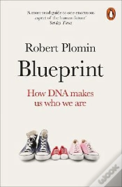 Capa do artigo Blueprint