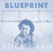 Capa do artigo Blueprint - Vinil
