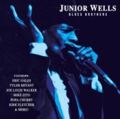 Capa do artigo Blues Brothers - Vinil
