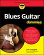 Blues Guitar For Dummies - Preview