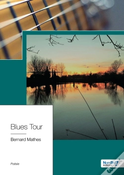 Capa do artigo Blues Tour
