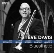 Capa do artigo Bluesthetic - CD