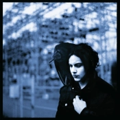 Capa do artigo Blunderbuss - Vinil