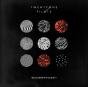 Blurryface - Vinil - Preview