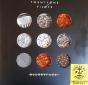 Blurryface - Vinil - Preview