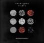 Blurryface - Vinil - Preview