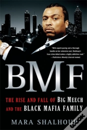 Capa do artigo Bmf