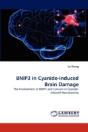 Bnip3 In Cyanide-Induced Brain Damage - Preview