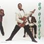 Bo Diddley - Vinil - Preview