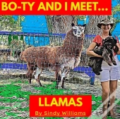 Bo-Ty And I Meet Llamas