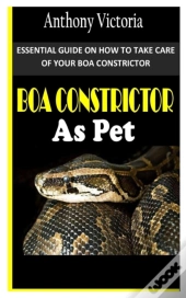 Boa Constrictor As Pet