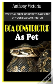 Capa do artigo Boa Constrictor As Pet