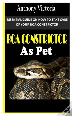 Capa do artigo Boa Constrictor As Pet