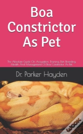 Boa Constrictor As Pet