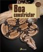 Boa Constrictor - Preview