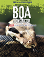 Boa Constrictor - Preview