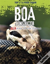 Capa do artigo Boa Constrictor