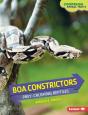 Boa Constrictors - Preview
