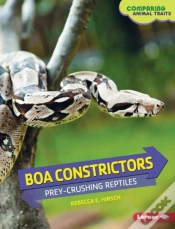 Capa do artigo Boa Constrictors
