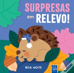 Capa do artigo Boa Noite