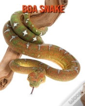 Capa do artigo Boa Snake
