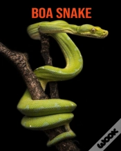 Capa do artigo Boa Snake