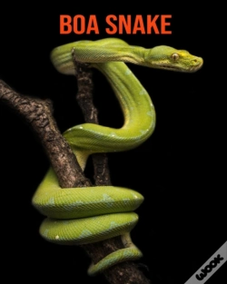 Capa do artigo Boa Snake