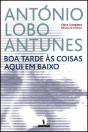Boa Tarde às Coisas Aqui em Baixo - Preview