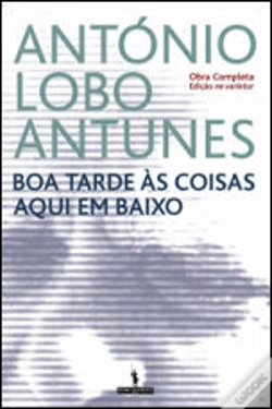 Capa do artigo Boa Tarde às Coisas Aqui em Baixo