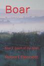 Boar - Preview