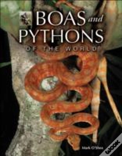 Capa do artigo Boas And Pythons Of The World