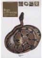 Boas Et Pythons - Preview