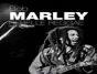 Bob Marley, Rebelle Reggae - Preview