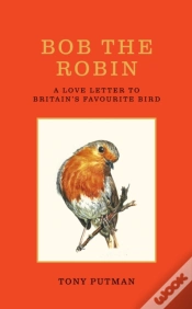Capa do artigo Bob The Robin