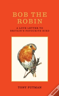 Capa do artigo Bob The Robin