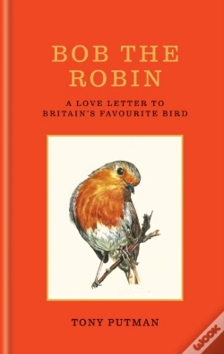 Capa do artigo Bob The Robin