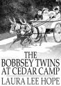 Bobbsey Twins At Cedar Camp - Preview