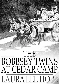 Capa do artigo Bobbsey Twins At Cedar Camp