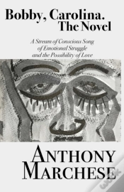 Capa do artigo Bobby, Carolina. The Novel