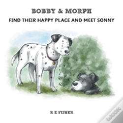 Capa do artigo Bobby & Morph