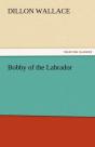Bobby Of The Labrador - Preview