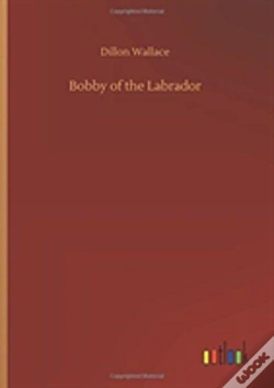 Capa do artigo Bobby Of The Labrador