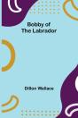 Bobby Of The Labrador - Preview