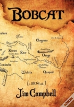 Capa do artigo Bobcat