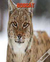Bobcat