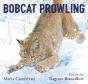 Bobcat Prowling - Preview