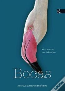 Bocas