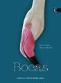 Bocas - Preview