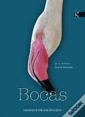 Capa do artigo Bocas