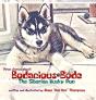 Bodacious Bode - The Siberian Husky Pup - Preview